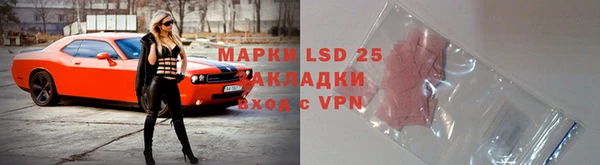 ГАЛЛЮЦИНОГЕННЫЕ ГРИБЫ Алексин