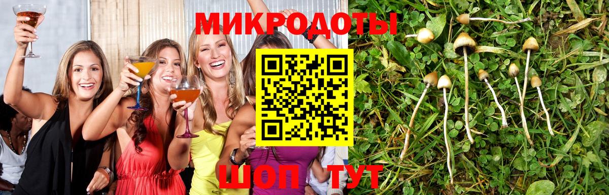 Псилоцибиновые грибы Psilocybe Иркутск